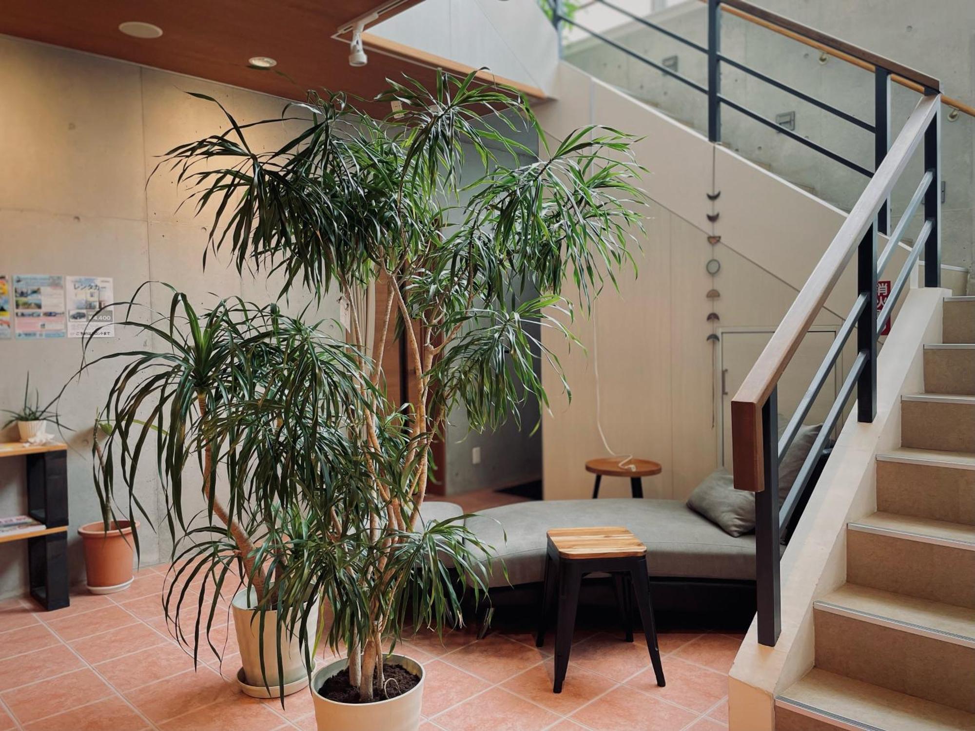 Hostel Sunterrace Ishigaki Ishigaki (Okinawa) Exterior foto